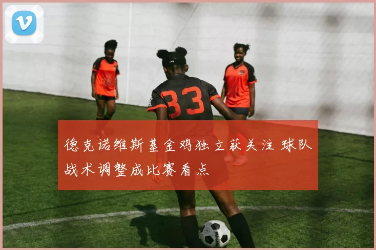 德克诺维斯基金鸡独立获关注 球队战术调整成比赛看点