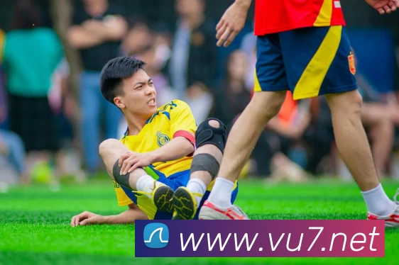 开云·官方版网站登录入口 - 开云(中国)平台生态图